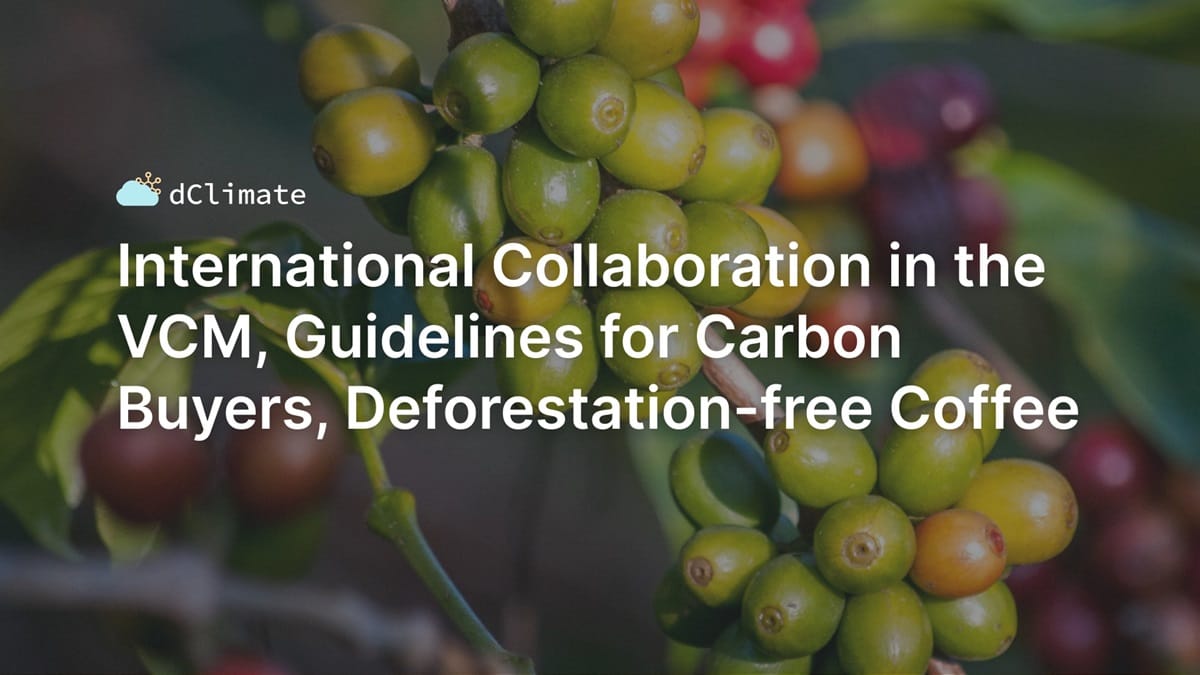 Data ReFined #30: International Collaboration in the VCM, Guidelines for Carbon Buyers, Deforestation-free Coffee