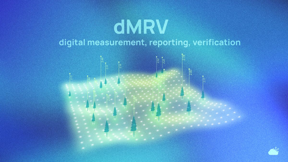 dMRV: What is it, how it works, and why it is essential for bringing scale and accountability to the VCM