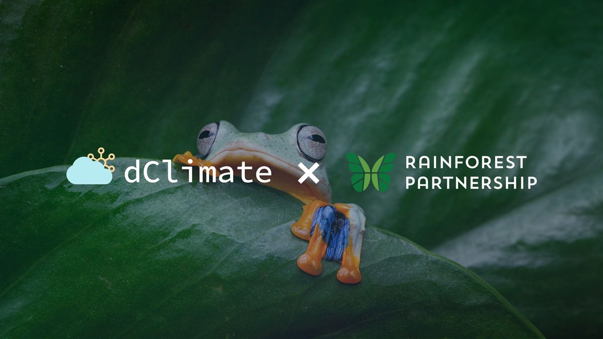 dClimate and Rainforest Partnership Join Forces to Protect Tropical Rainforests