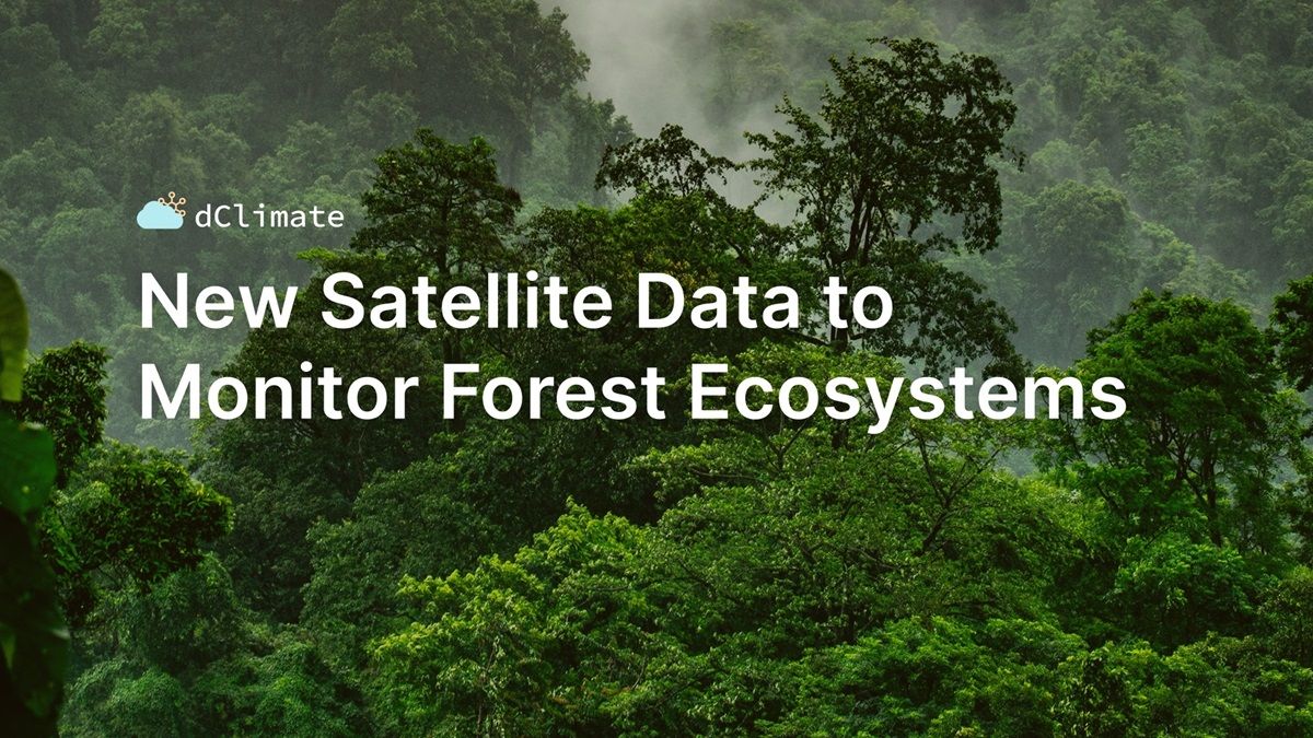 Data ReFined #19: New Satellite Data to Monitor Forest Ecosystems