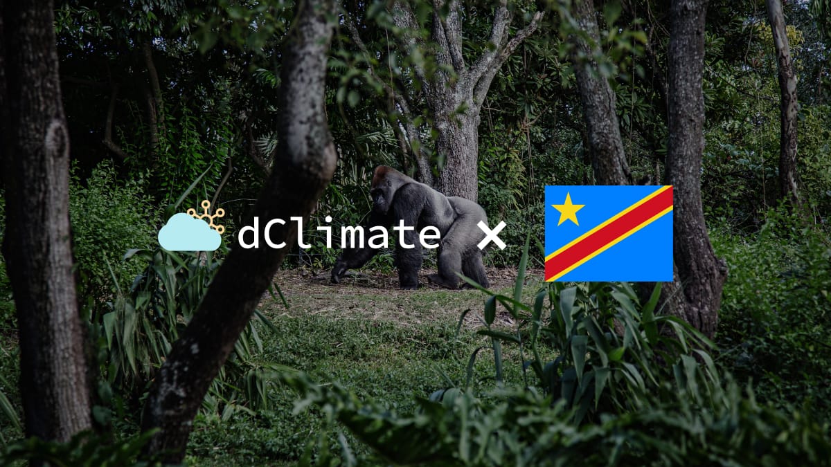 dClimate Signs MoU With Democratic Republic of Congo to Protect the Congo Basin Rainforest and Peatlands