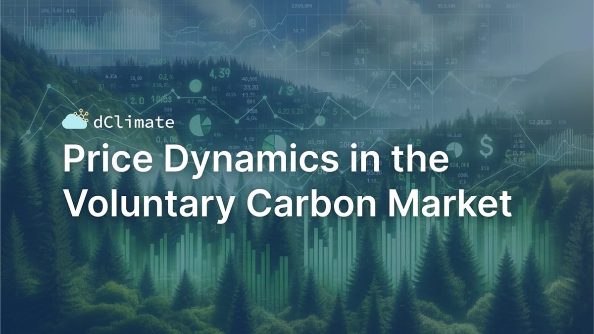 Price Dynamics in the Voluntary Carbon Market