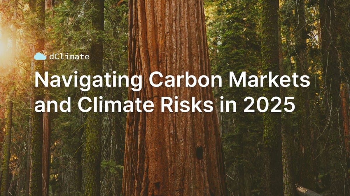 Data ReFined #47: Navigating Carbon Markets and Climate Risks in 2025