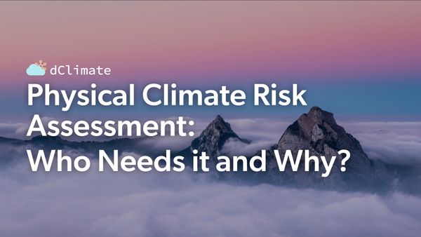 Use Cases for Physical Climate Risk Assessment: A Comprehensive Overview