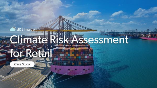 Case Study: Climate Risk Assessment for Retail