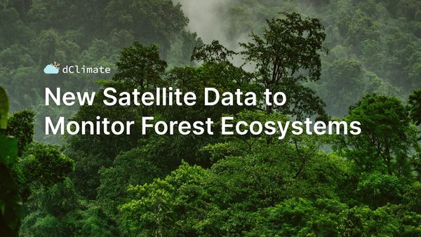 Data ReFined #19: New Satellite Data to Monitor Forest Ecosystems
