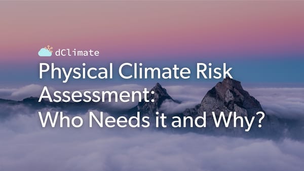 Use Cases for Physical Climate Risk Assessment: A Comprehensive Overview