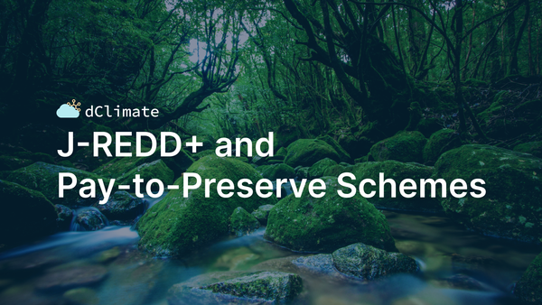 J-REDD+ and Pay-to-Preserve Schemes