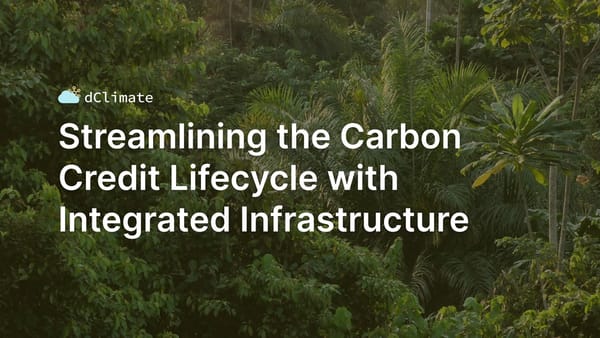 Data ReFined #40: Streamlining the Carbon Credit Lifecycle with Integrated Infrastructure